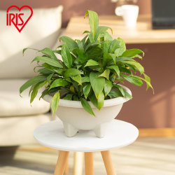 IRIS 愛麗思 半球型樹脂花盆 330E