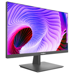 RAYTINE 雷霆世纪 LT-24F60 23.8英寸显示器