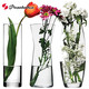 进口玻璃瓶水培植物容器绿萝养花花瓶干花插花客厅摆件装饰花盆