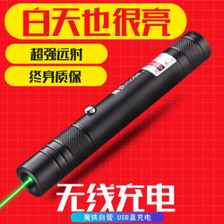 MOTIE 魔铁 激光笔M308 绿光远射USB充电逗猫棒