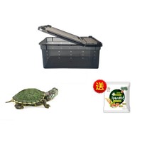 NOMOYPET 乌龟饲养盒+乌龟+龟粮