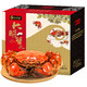 谷源道 大闸蟹鲜活螃蟹礼盒全母蟹3.0-2.5两10只装 海鲜水产