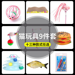 碧净 猫玩具套装 6件套