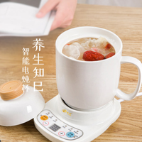 Fuling 福菱 FL3608 电炖杯