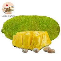 海南三亚新鲜菠萝蜜单果16-19斤/8-9kg热带水果
