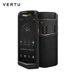 VERTU 纬图 ASTER P 哥特系列高定款智能手机 蜥蜴皮 耀目金