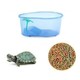 宏雨 蓝色龟缸+小乌龟+龟粮（40天份）