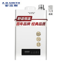 A.O.SMITH 史密斯 JSQ26-J0 燃气热水器 天然气 经典美国灰