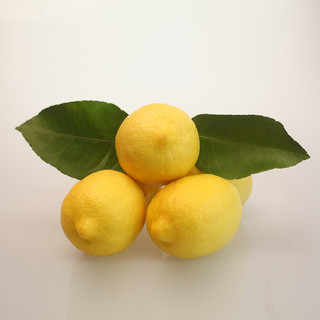 地道果 安岳黄柠檬 6斤