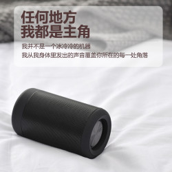 SAST 先科 A66 蓝牙音箱