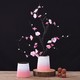 Hoatai Ceramic 华达泰 中式粉色渐变花瓶套装