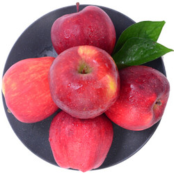 唐鲜生 甘肃天水花牛苹果 粉面苹果蛇果 宝宝辅食 新鲜水果 带箱约10斤20-24枚(75-85mm)