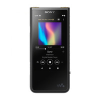 SONY 索尼 NW-ZX507 随身音乐播放器 64GB 黑色