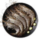 京东PLUS会员：浓鲜时光 活冻黑虎虾 约20只 净重400g *3件