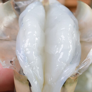 浓鲜时光 泰国活冻黑虎虾 20-25只 500g