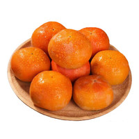 NANGUOXIANSHENG 芬果时光 脆甜柿子 带箱5斤装