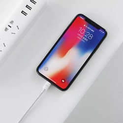 ZMI 紫米 苹果 MFI认证 PD快充线数据线USB-C to Lightning