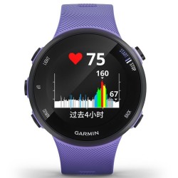 GARMIN 佳明 Forerunner 45(s) 智能心率腕表