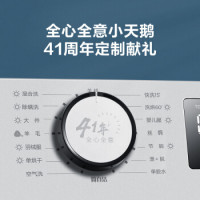 LittleSwan 小天鹅 TD100PURE 洗烘一体机 10KG