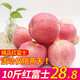 红富士苹果10斤水果 75-85果径批发新鲜红蛇果粉面苹果平果 基地直发