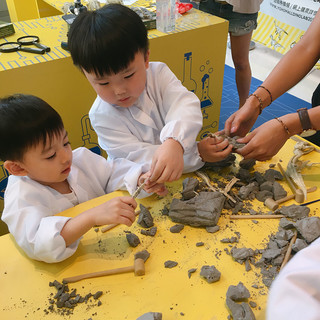 wanmole 玩模乐 恐龙化石考古挖掘玩具手工创意DIY礼物拼装