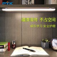 PYK LED酷毙灯 5W 30cm单档白光+2米USB线