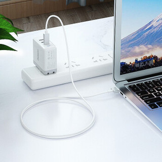 Delippo 适用苹果笔记本MacBook pro充电器线 type-C转magsafe2磁吸头 (白色、type-C、1.8米)