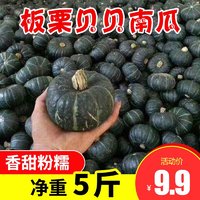 板栗味贝贝南瓜净重5斤贝贝小南瓜宝宝辅食新鲜蔬菜