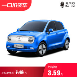 欧拉R1灵趣版351KM(单色版)秒杀款