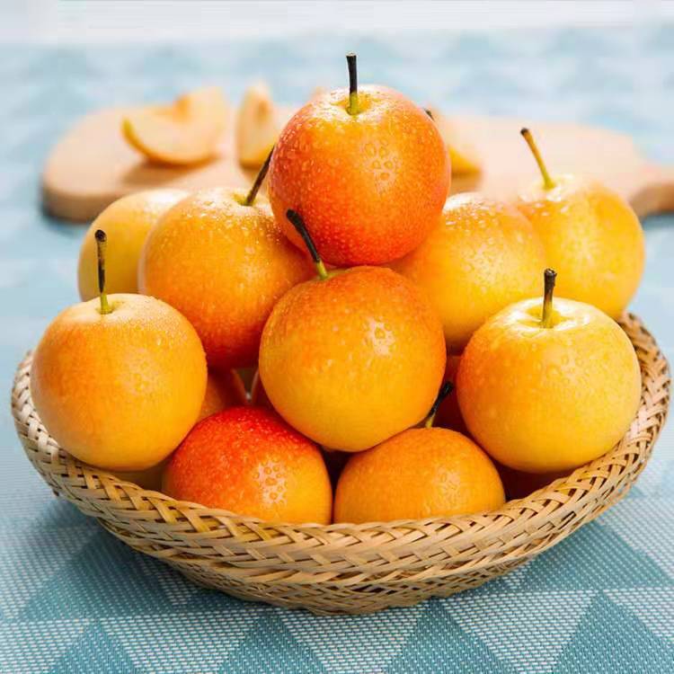 天鹰 鞍山南果梨 带箱5斤