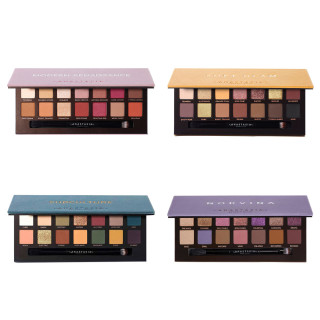 ANASTASIA BEVERLY HILLS 眼影盘裸妆显色14色眼影盘