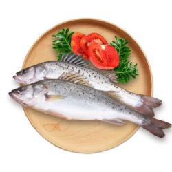 领鲜派(Fresh Pie)三去海鲈鱼 400~500g 海鲜水产 去鳞去鳃去内脏 袋装