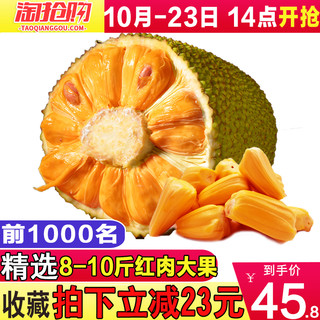 六井 海南菠萝蜜 10斤