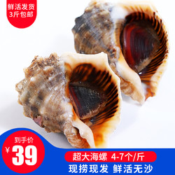 鲜活超大海螺4-7头一斤 *3件