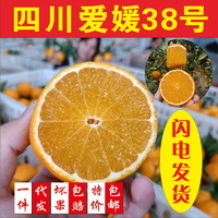 5斤四川爱媛38号果冻橙