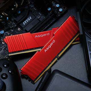 Asgard 阿斯加特 洛极T2系列 DDR4 3000MHz 台式机内存 马甲条 红色 16GB