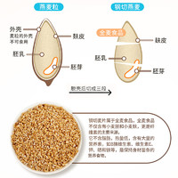 红锚澳洲原装进口钢切刚切燕麦粒刀切麦片全谷物燕麦片早餐750g