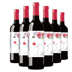 智利进口红酒 智象爱莎干红葡萄酒750ml*6整箱装 *2件