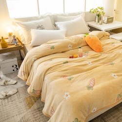 贝思羊  双层珊瑚绒午睡毯 150*200cm
