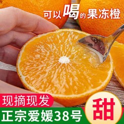 10月30日0点爱媛38号果冻橙*带箱5.5斤