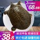 速鲜 鲜活大甲鱼 中华鳖王八 活体活鲜海鲜水产 1.2-1.6斤/1只