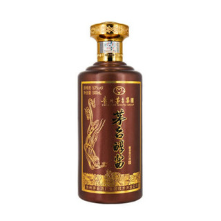 MOUTAI 茅台 醇酱封藏N10 53度 酱香型白酒 500ml*2瓶