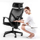 LIANFENG 联丰 DS-203CG 家用办公人体工学电脑椅 黑色