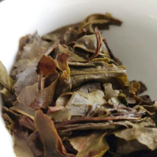 TAETEA 大益 2018年黄金甲 勐海茶厂 生茶 (1801) 357克/饼 一饼装