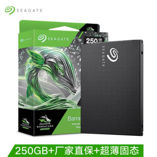 SEAGATE 希捷 BarraCuda 酷鱼 固态硬盘 250GB SATA接口 ZA250CM1A002