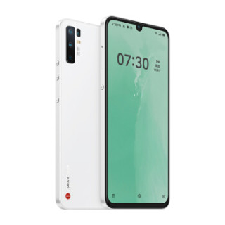smartisan 锤子科技 坚果 Pro 3 智能手机
