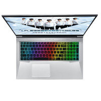 MACHENIKE 机械师 F117 17.3英寸全面屏游戏本 (i7-9750H、512GB SSD、8GB、GTX1650)