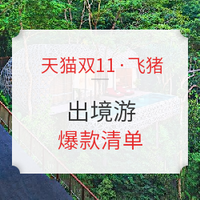 天猫双11·飞猪：预算5000元 出境游线路