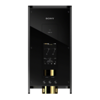 SONY 索尼 DMP-Z1 音乐播放器 (黑、256GB、3.1英寸（7.8 厘米）/ WVGA（800 x 480 像素）)