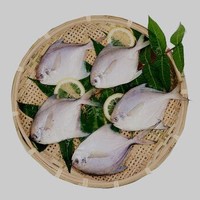 王氏善品  冷冻银鲳鱼500g 袋装 自营海鲜水产 *16件